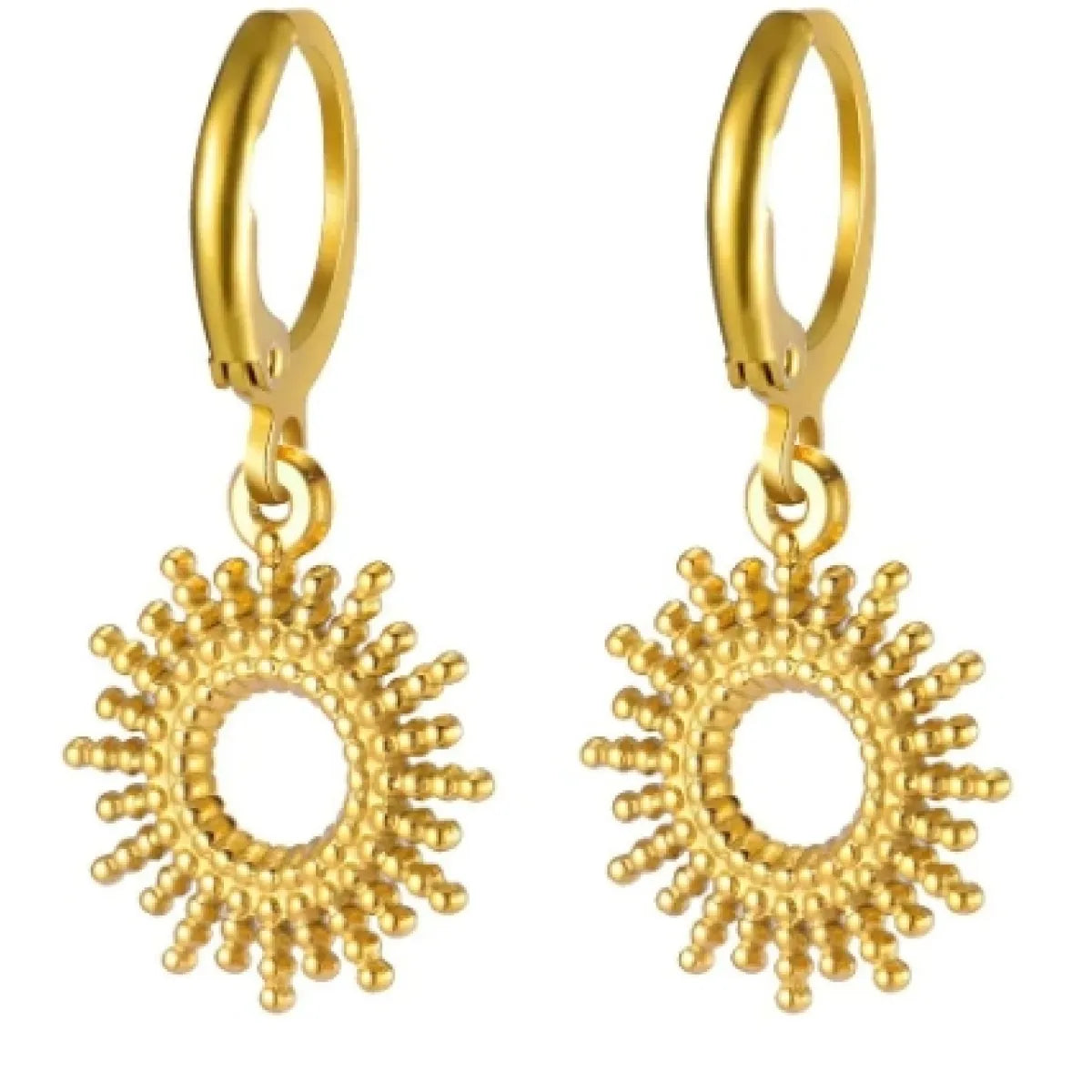 Fashion Stainless Steel Earrings